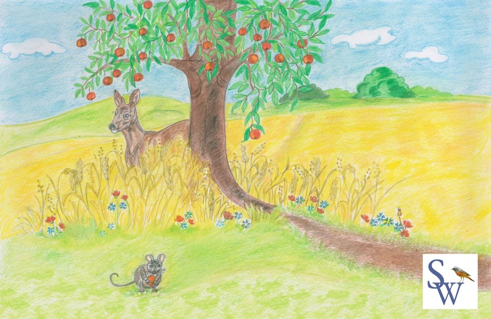 Kinderbuch von Sylvia Wentzlau - Das kleine Häschen Süßmäulchen